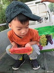 吃瓜吴,揭秘娱乐圈背后的那些事儿